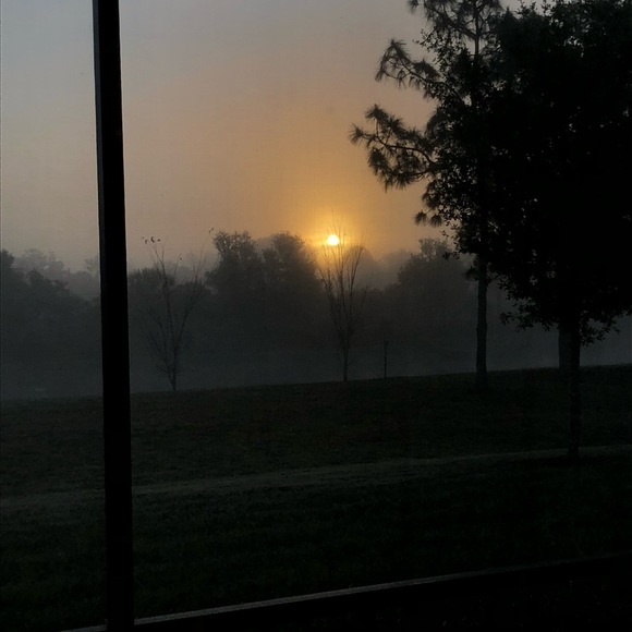 Meet your Posher, Melanie - Picture 1 of 1